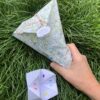 pochette surprize